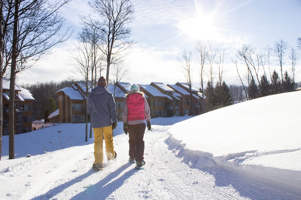 Shanty Creek Resorts - Summit Village 44/50