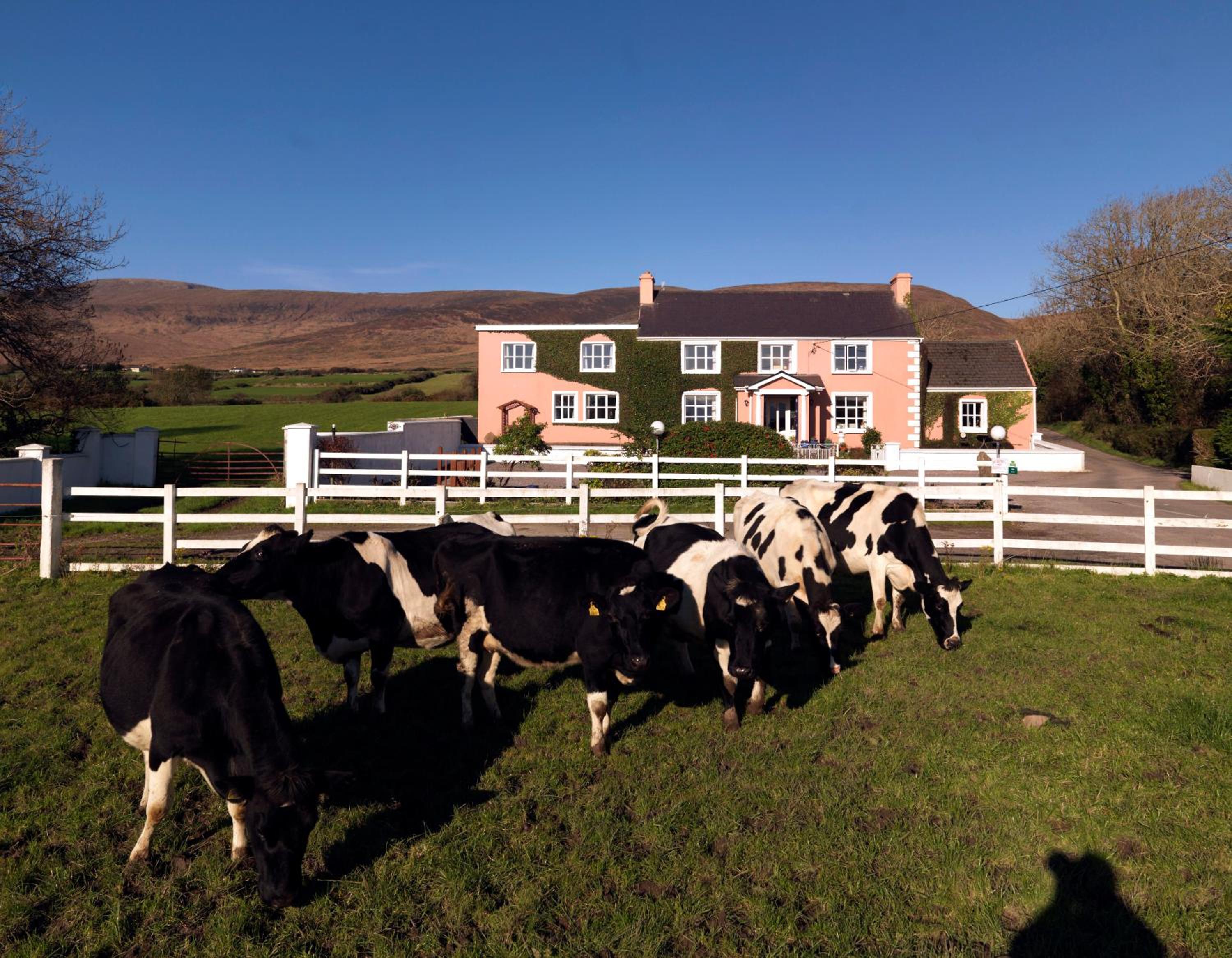 Murphys Farmhouse 28/32