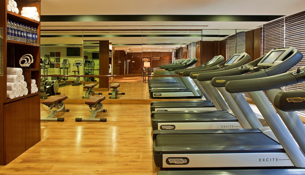 Radisson Blu Plaza Hotel Delhi Airport 46/76