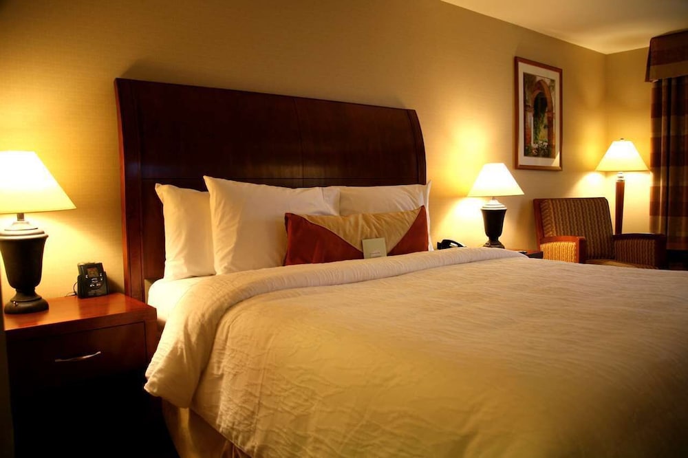 Hilton Garden Inn San Diego Del Mar 15/74
