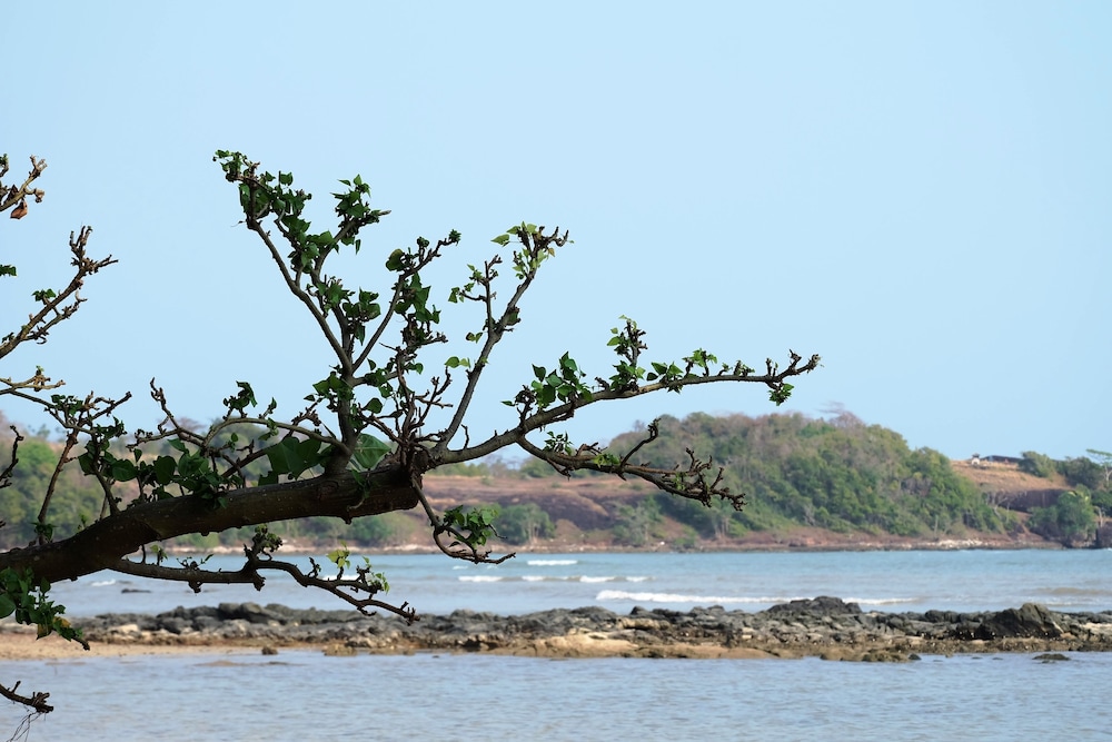 Plub Pla Koh Mak Retreat 40/68