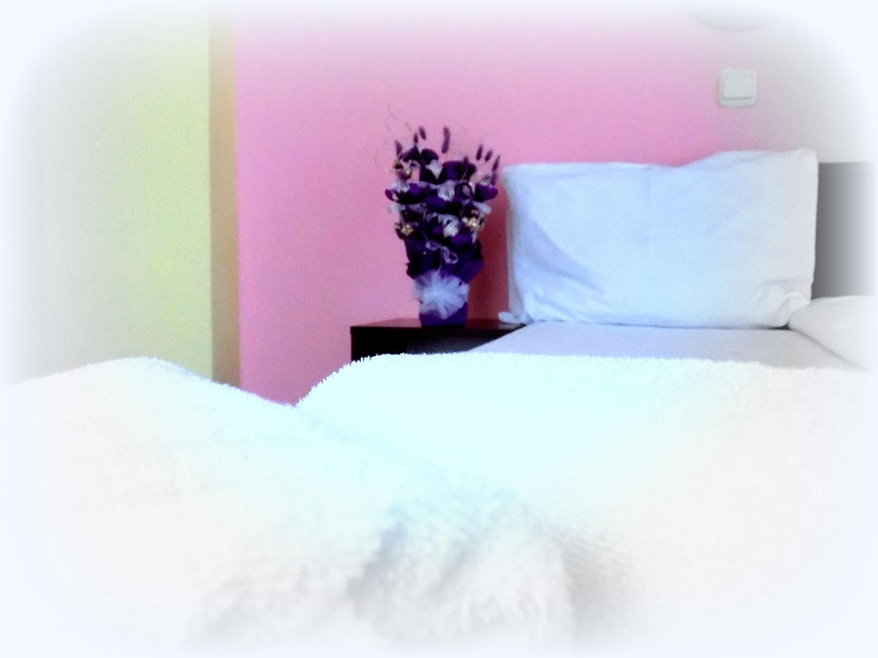 Bon Voyage Hotel Alexander 31/48