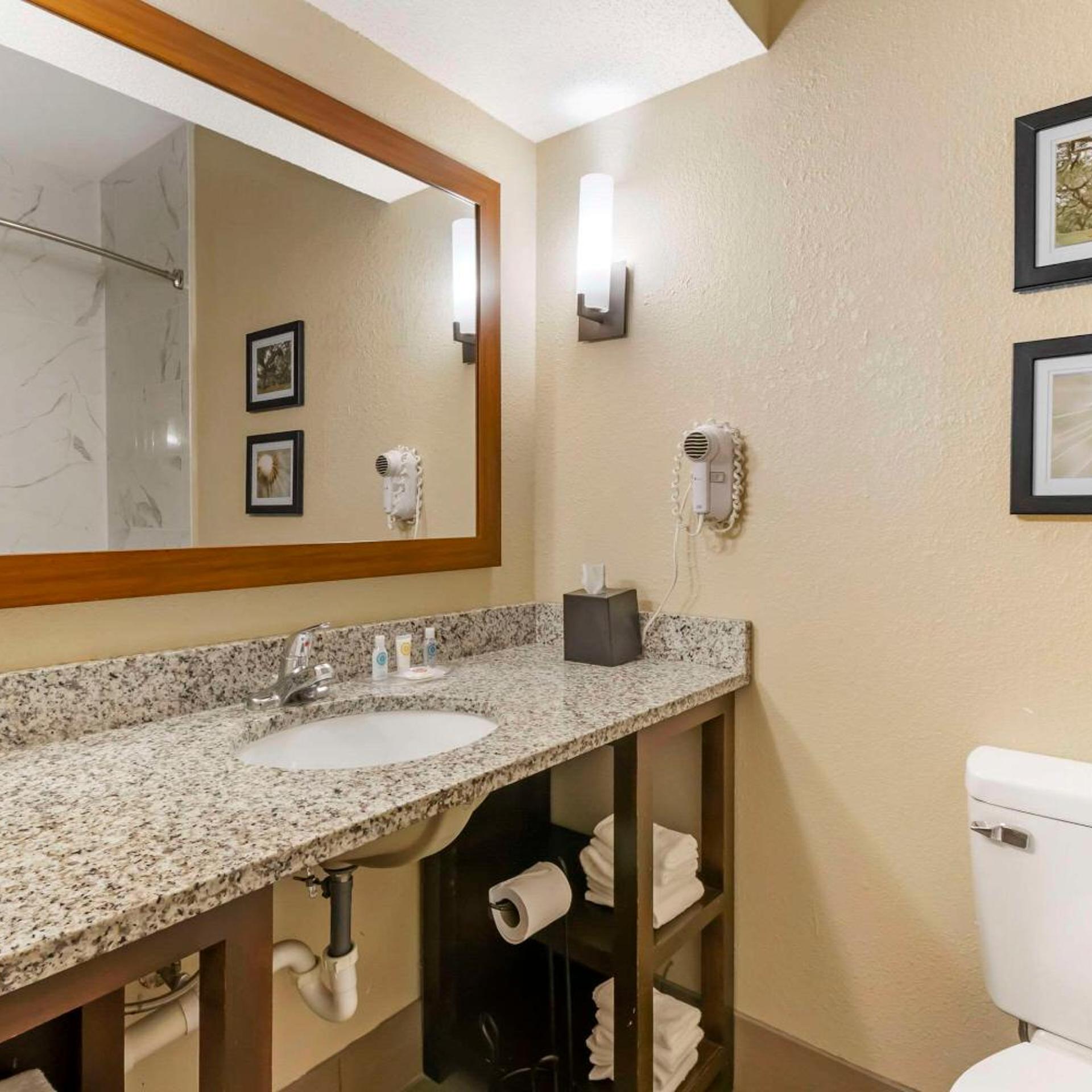 غرفة بسرير كينج لذوي الإعاقة، Comfort Suites At The University 9/9