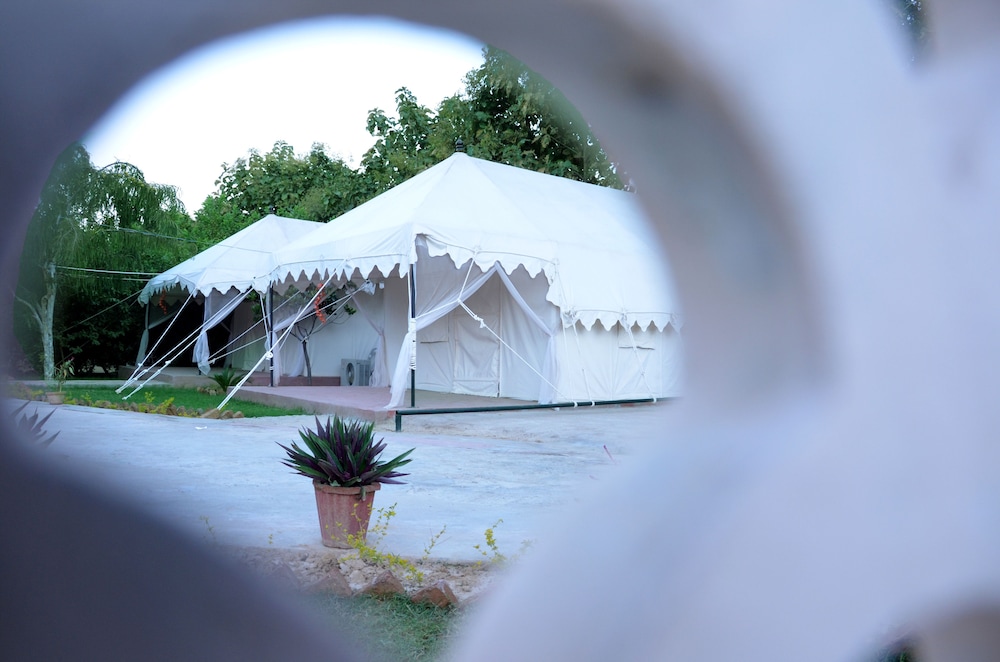 Ranthambhore National Resort 36/73
