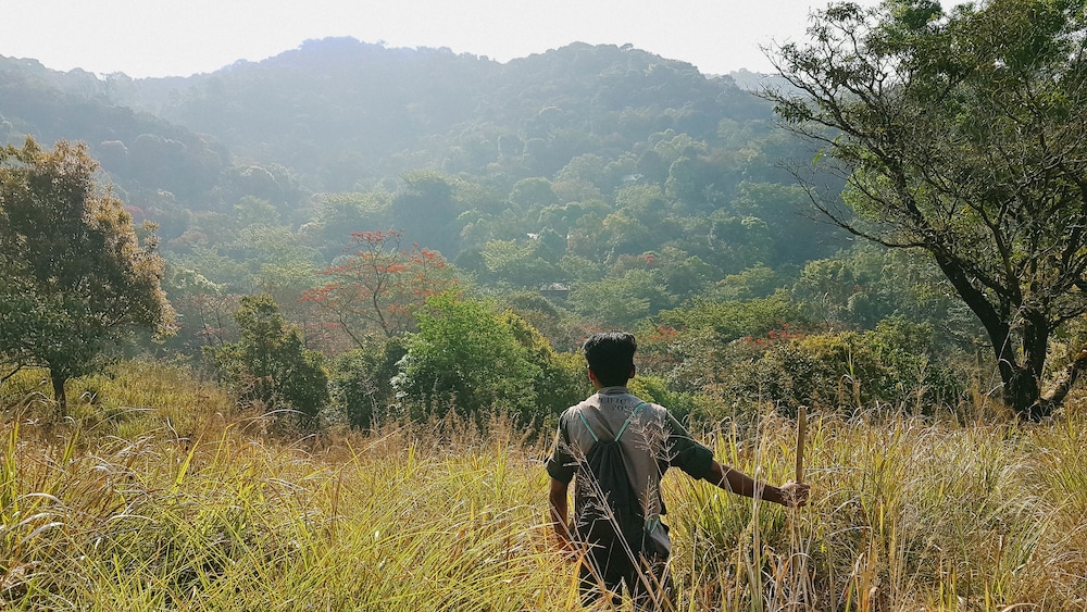Wayanad Wild - Cgh Earth 31/48