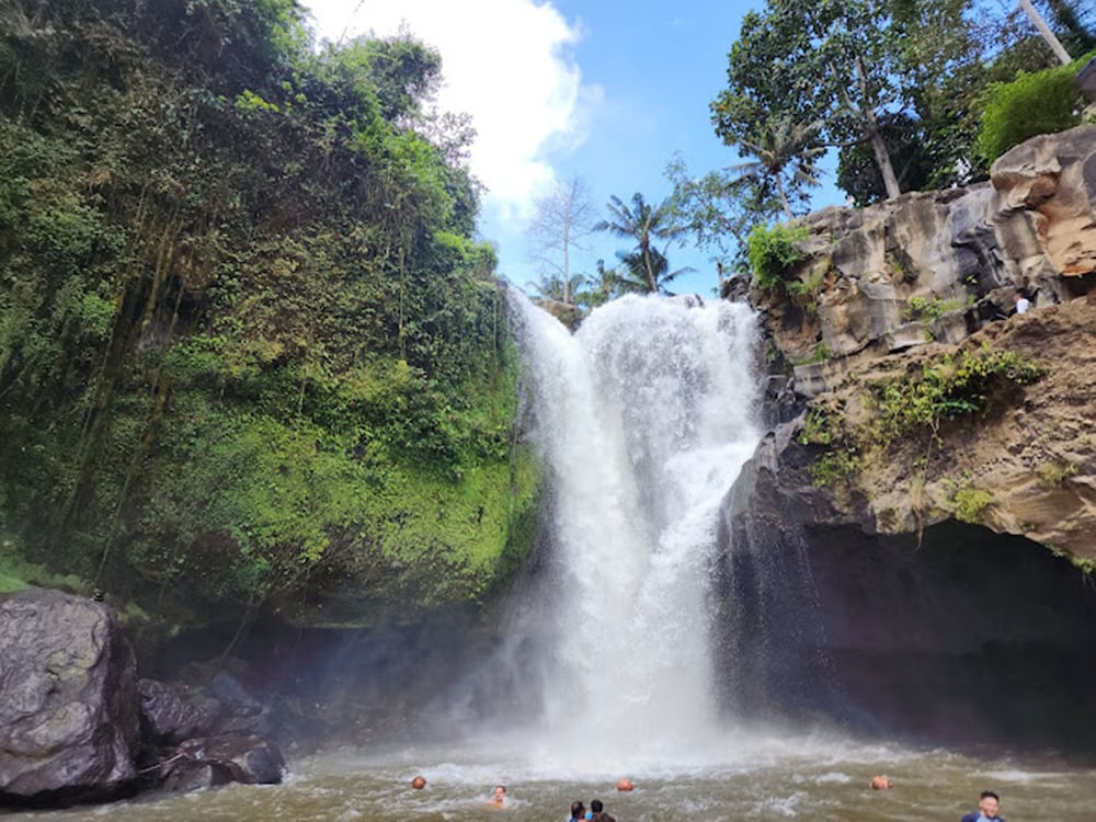 Awatara Boutique Resort Ubud 36/45