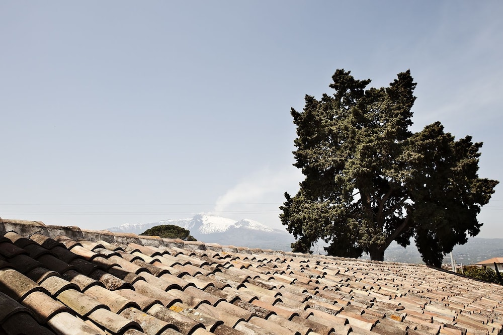La Terra del Mezzo 32/46