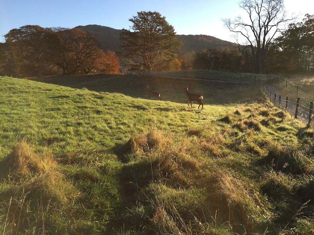 Brathay Hall Brathay Trust 40/50