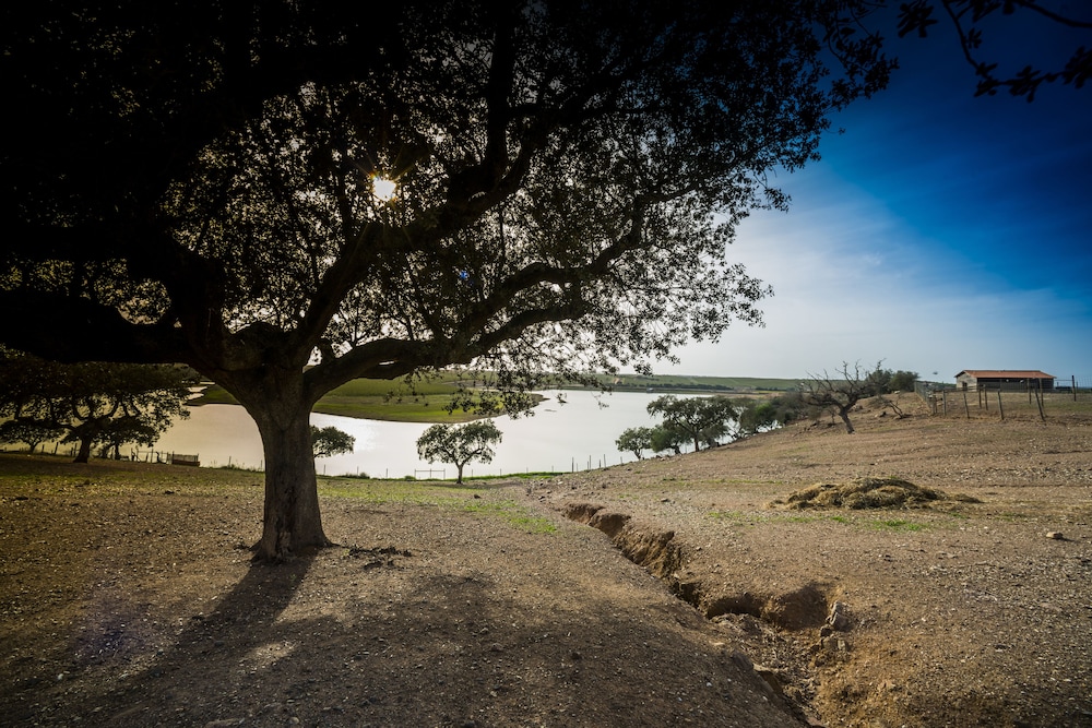 Vila Gale Alentejo Vineyard - Clube de Campo 43/48