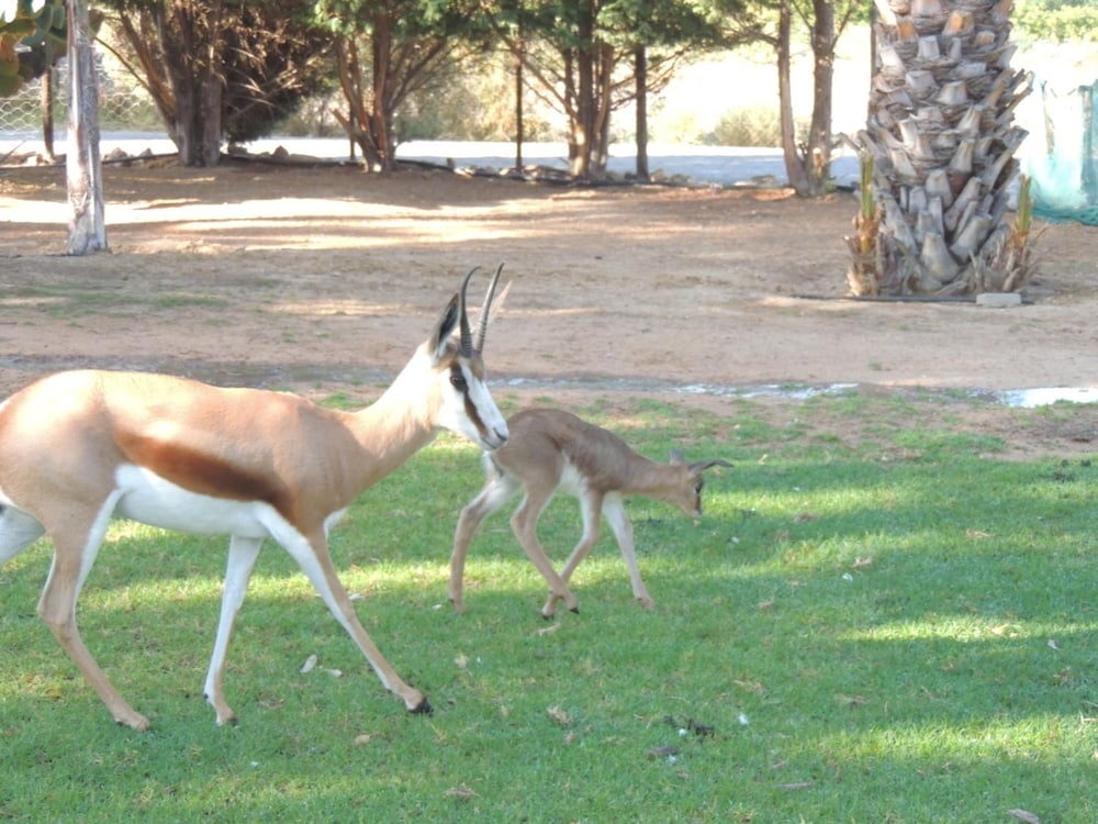 Oasis Country Lodge 18/36