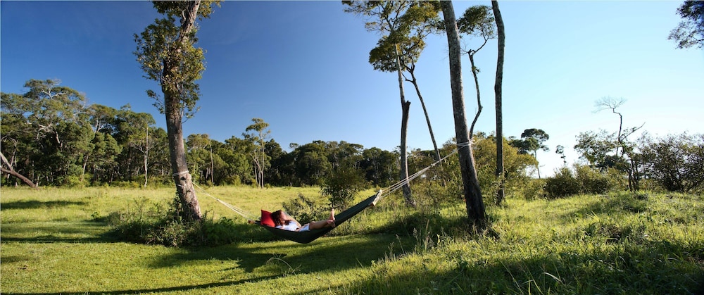 Elephant Pepper Camp 27/48