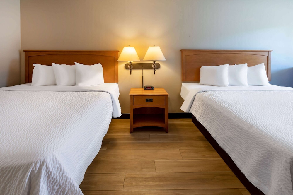Days Inn by Wyndham Birch Run 23/36