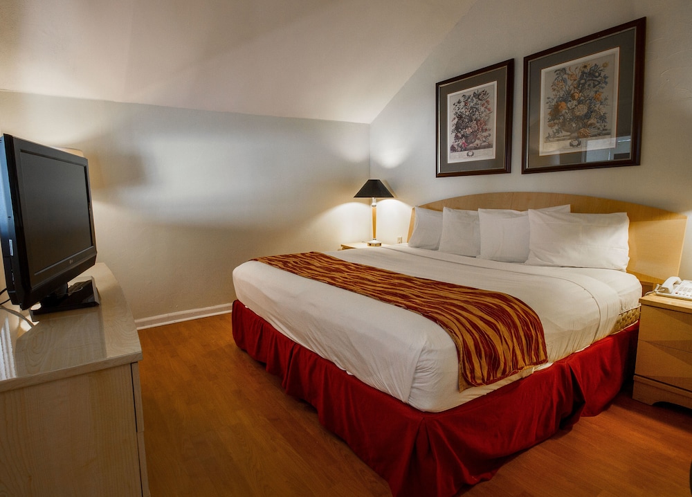 Rodeway Inn South Miami Coral Gables 22/39