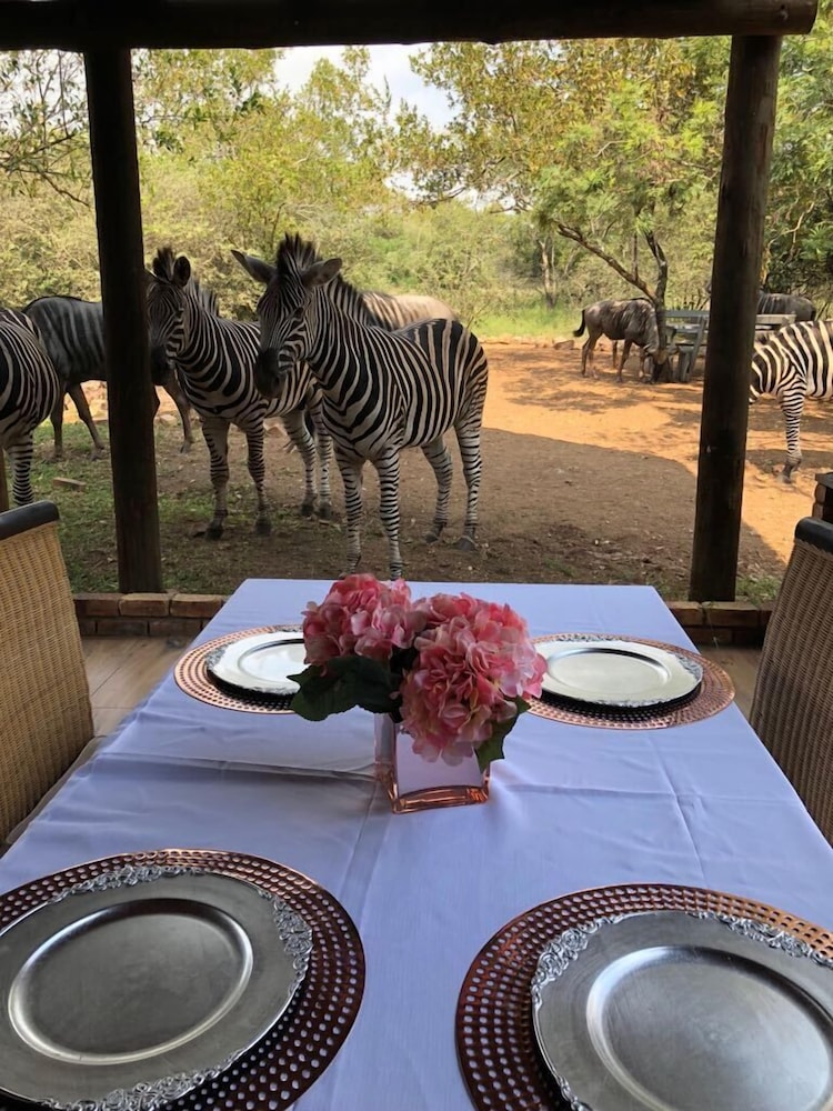 Imbube Safari Lodge 37/50