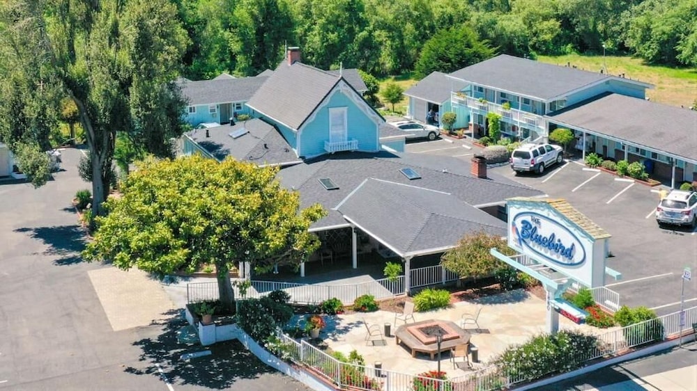 Bluebird Inn 46/53