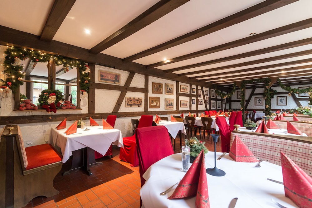 Thermen Hotel Bad Soden Am Taunus 21/42