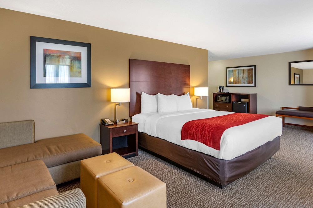 Suite, King Bed, Sofa, High Floor, Accessible