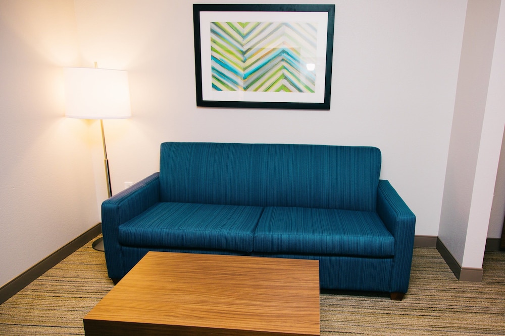 Holiday Inn Express Hotel Suites Tampa Usf Busch Gardens 51/70