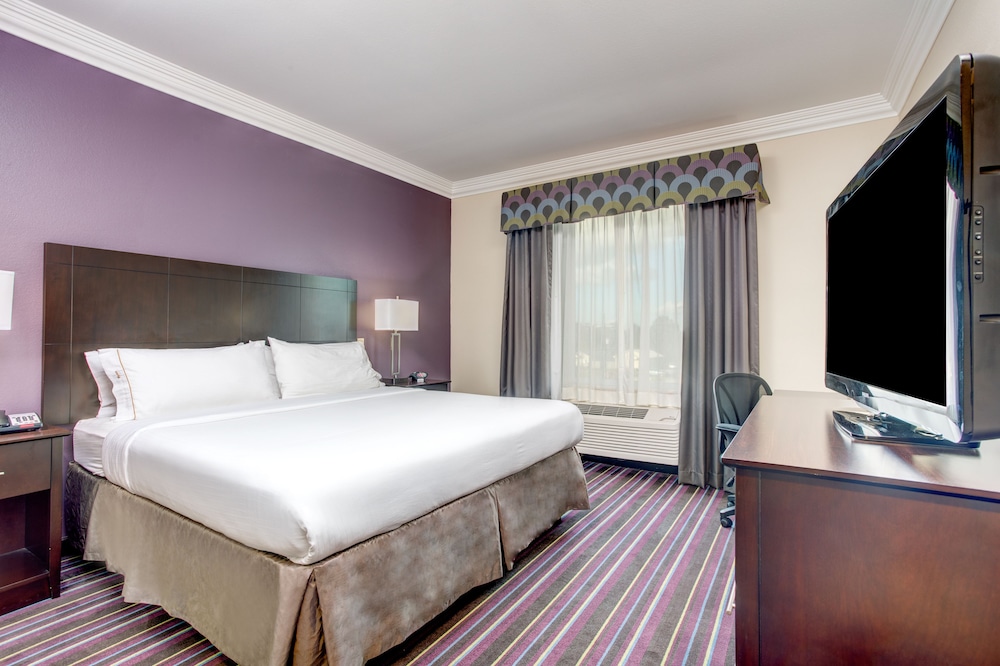 Holiday Inn Express Hotel And Suites Raceland Highway 90 20/49