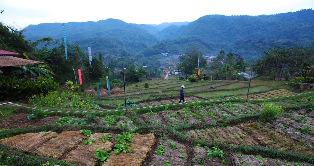 Boklua View Resort 15/34
