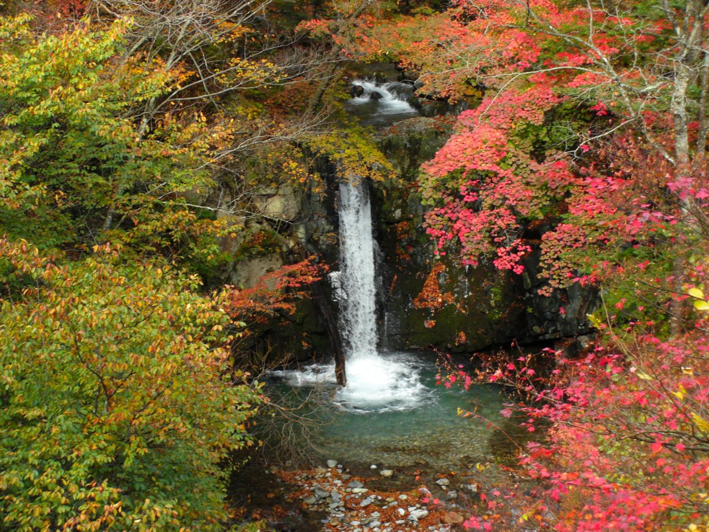 Shima Onsen Ayameya Ryokan 44/54