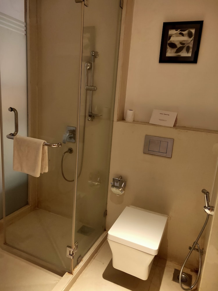 Pride Plaza Kolkata 30/64