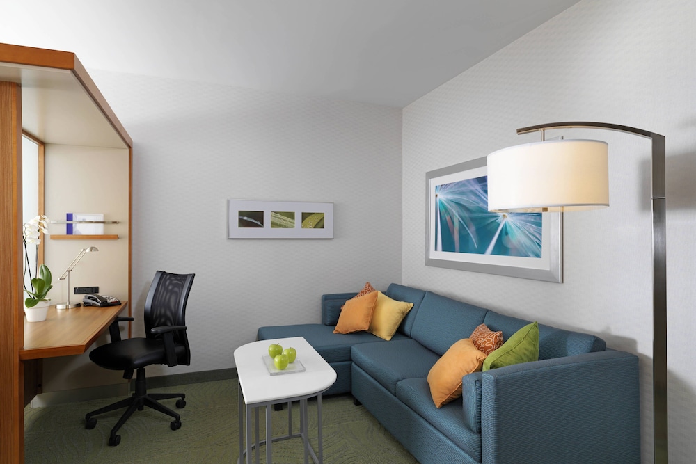 SpringHill Suites by Marriott Lake Charles 32/50