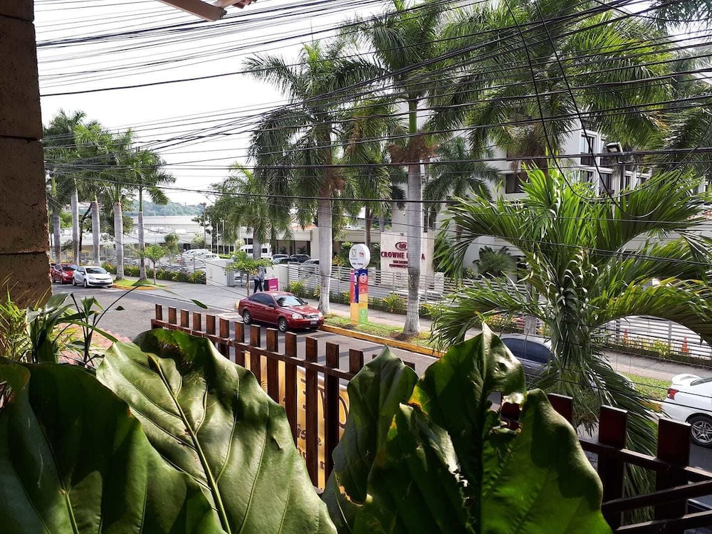 Hotel Arbol De Los Suenos 55/58