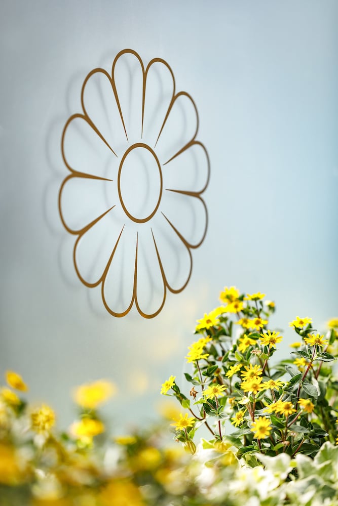 Hotel Jardin Bern 36/38