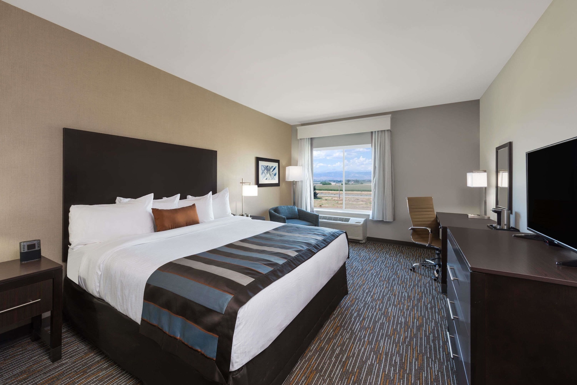 Room, King Bed, Accessible