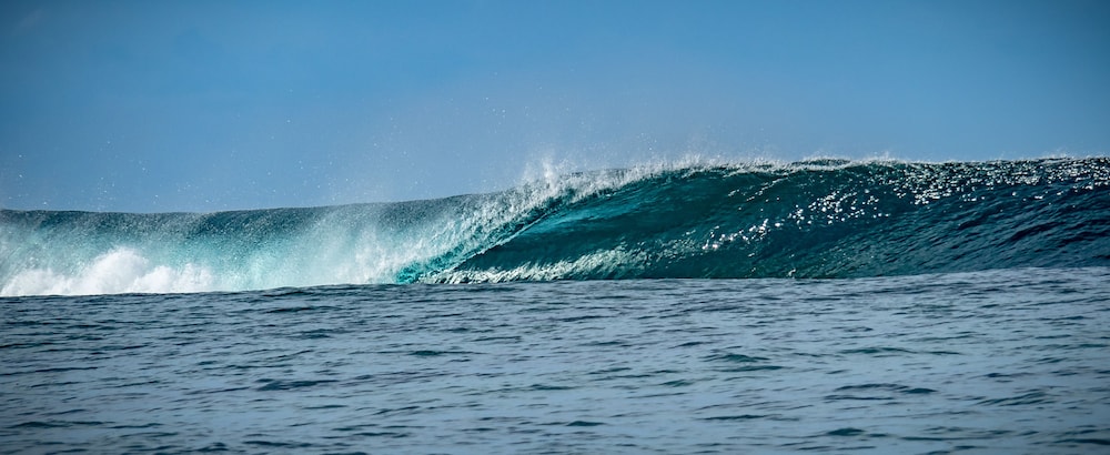 Moorea Surf Bed And Breakfast Hostel 23/32