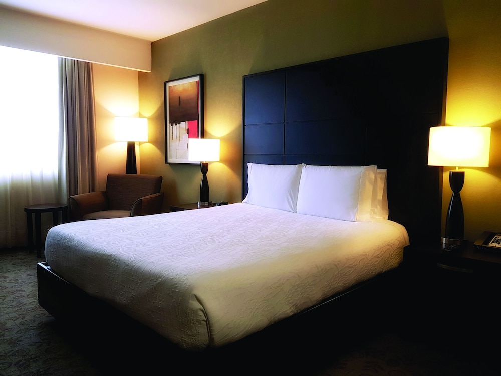Hilton Garden Inn Tuxtla Gutierrez 17/59