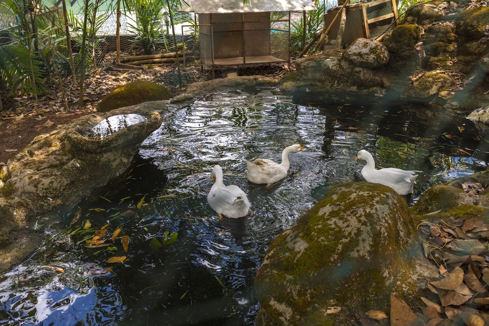 Adithya Nature Resort & Spa 12/50