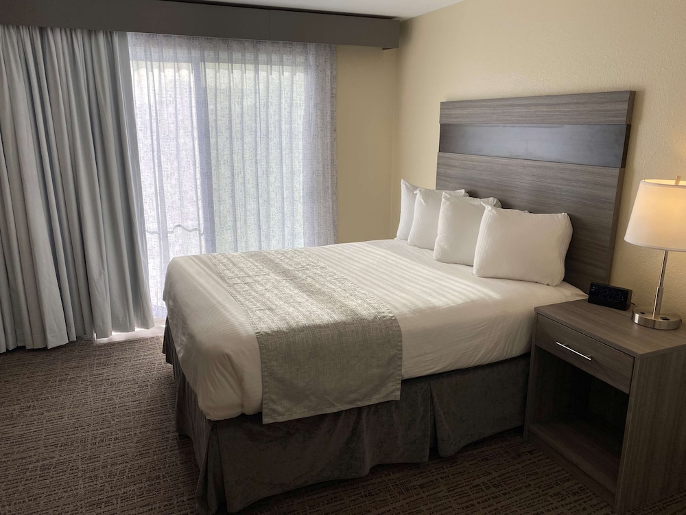 Best Western Inn At Face Rock 14/44