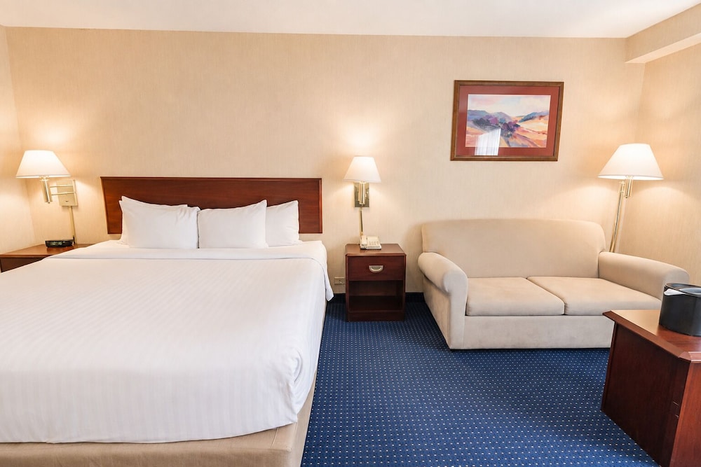 غرفة واسعة بسرير كينج، Wyndham Garden Monterrey Norte 3/10