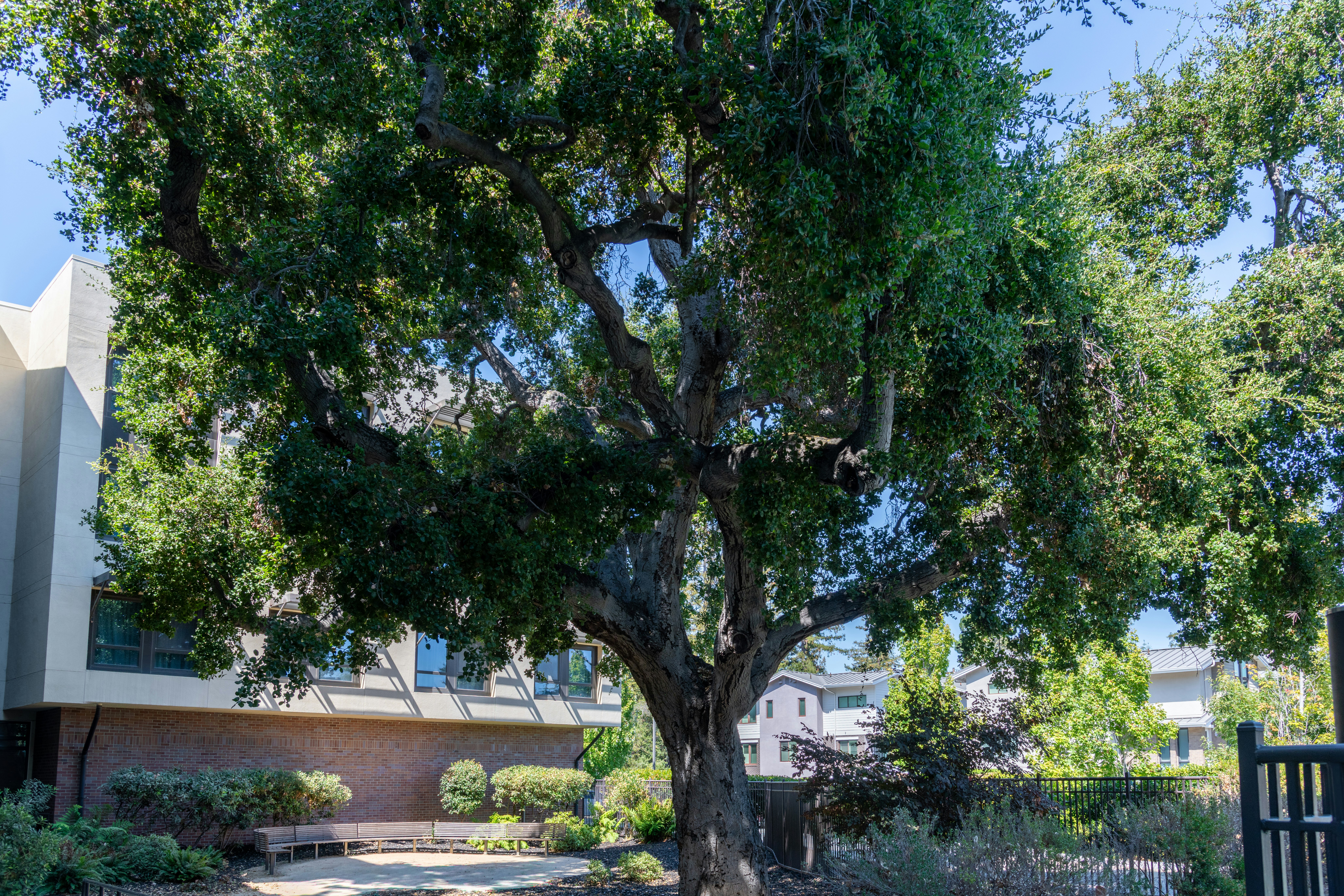 Homewood Suites By Hilton Palo Alto 29/30