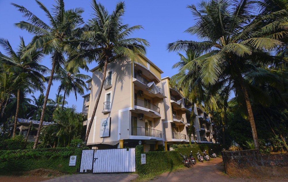 Treehouse Blue Goa 2/18
