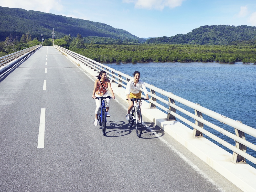 Hoshino Resorts Iriomote Hotel Ex Hotel Nirakanai Iriomotejima 34/57