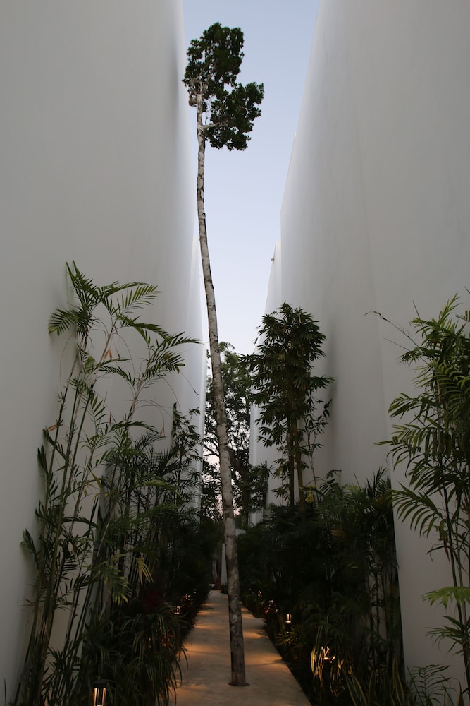 Anah Suites Tulum 33/50