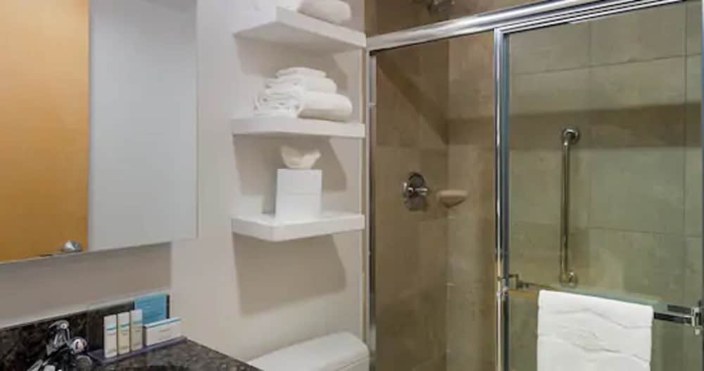 Hampton Inn Manhattan Times Square South 13/37