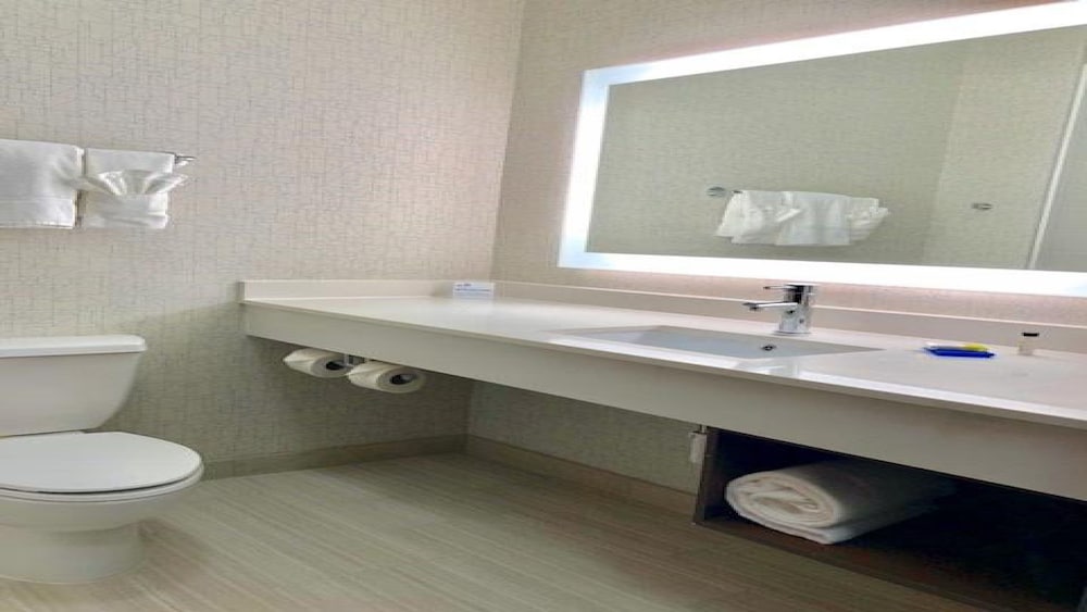 Holiday Inn Express Hotel Suites Mount Pleasant 20/61