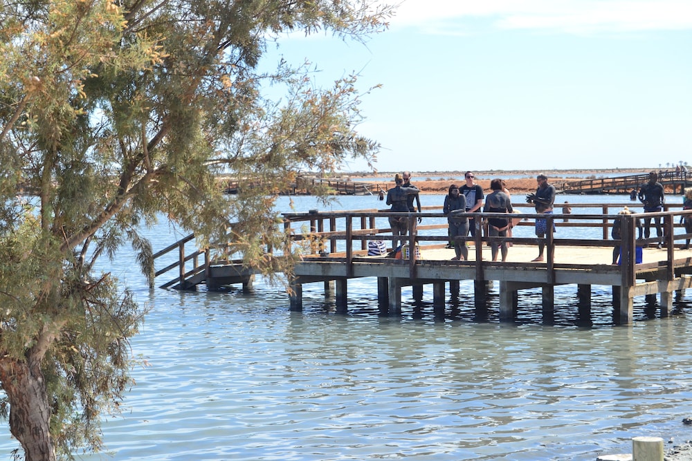 AGUAS SALINAS 27/56