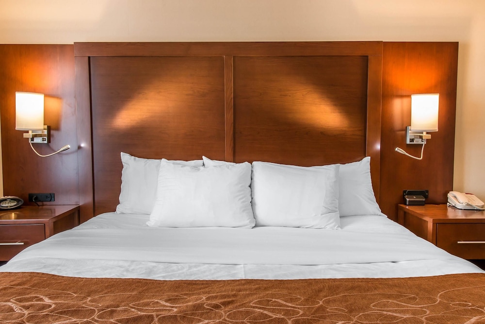 Comfort Suites Wixom - Novi 8/32