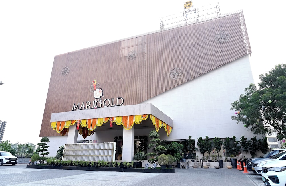 Marigold Regency 5/50