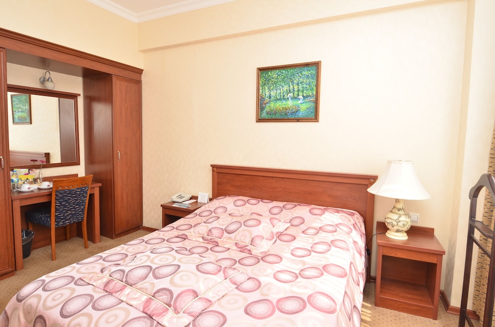 Akgun Hotel 12/54