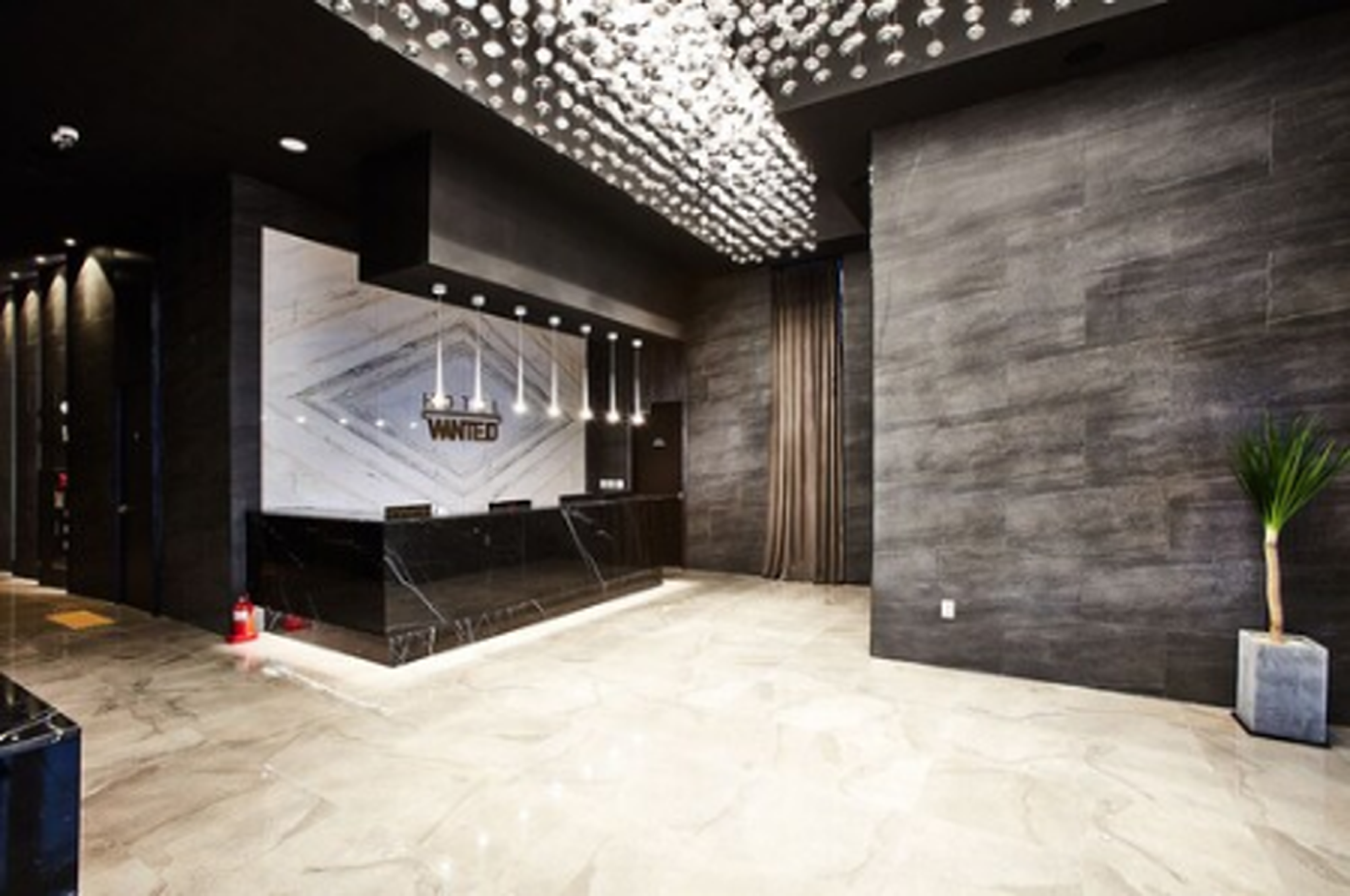EXCLUSIVE, SUITE