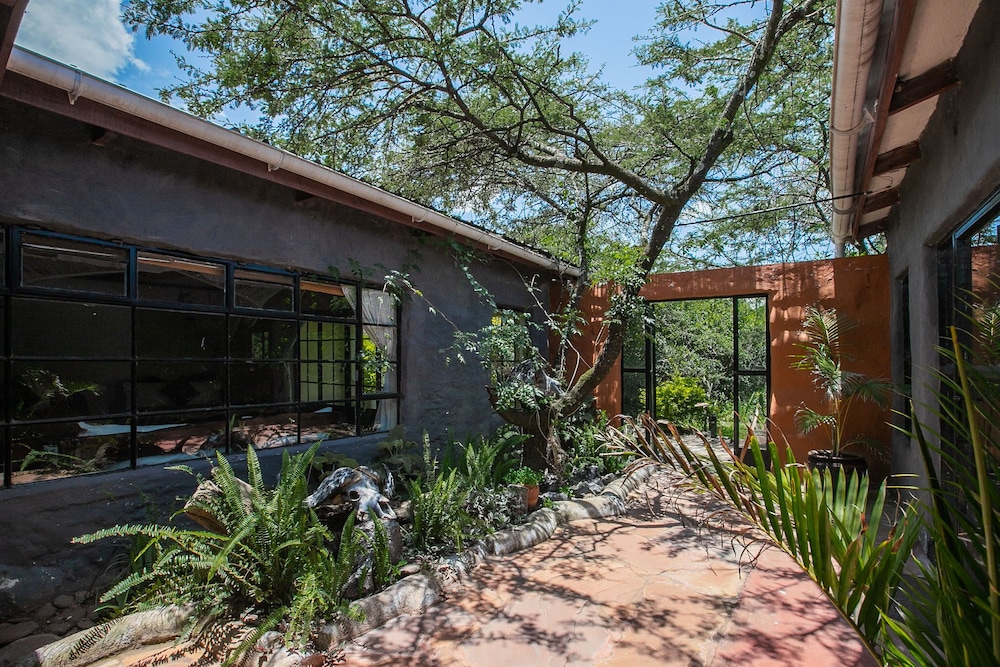 Punda Milias Camp Nakuru 42/50