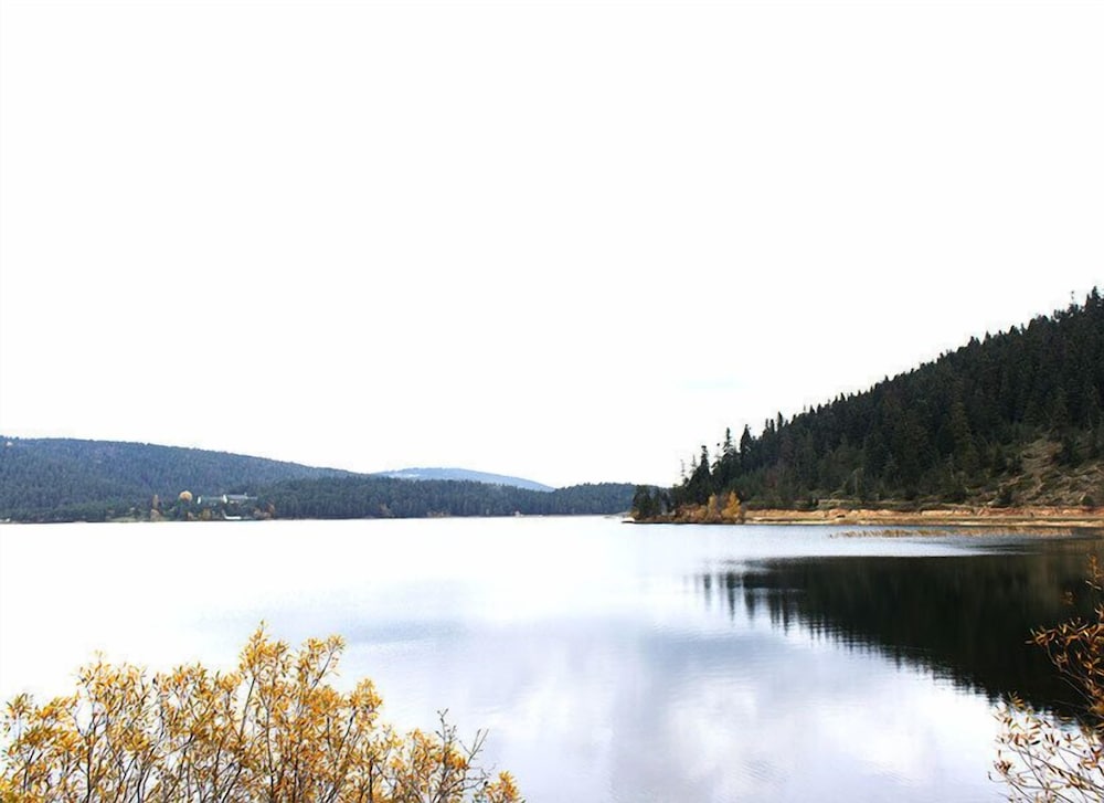 Elit Palace Bolu 33/40