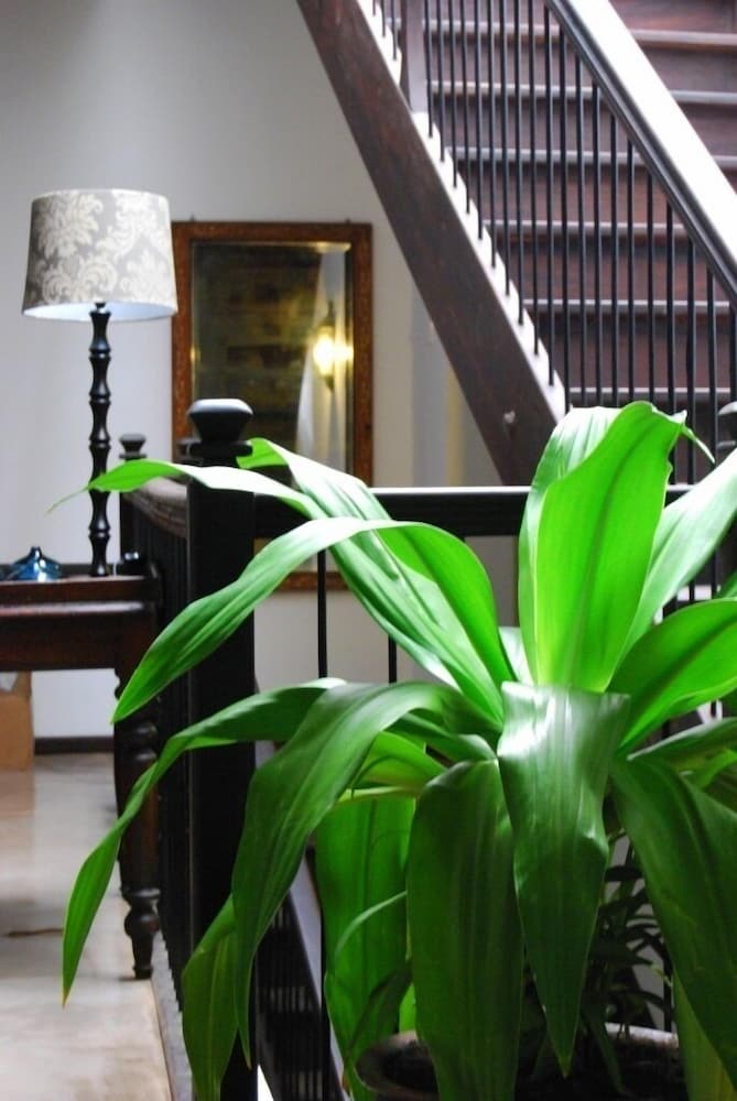 Kisiwa House 2/40
