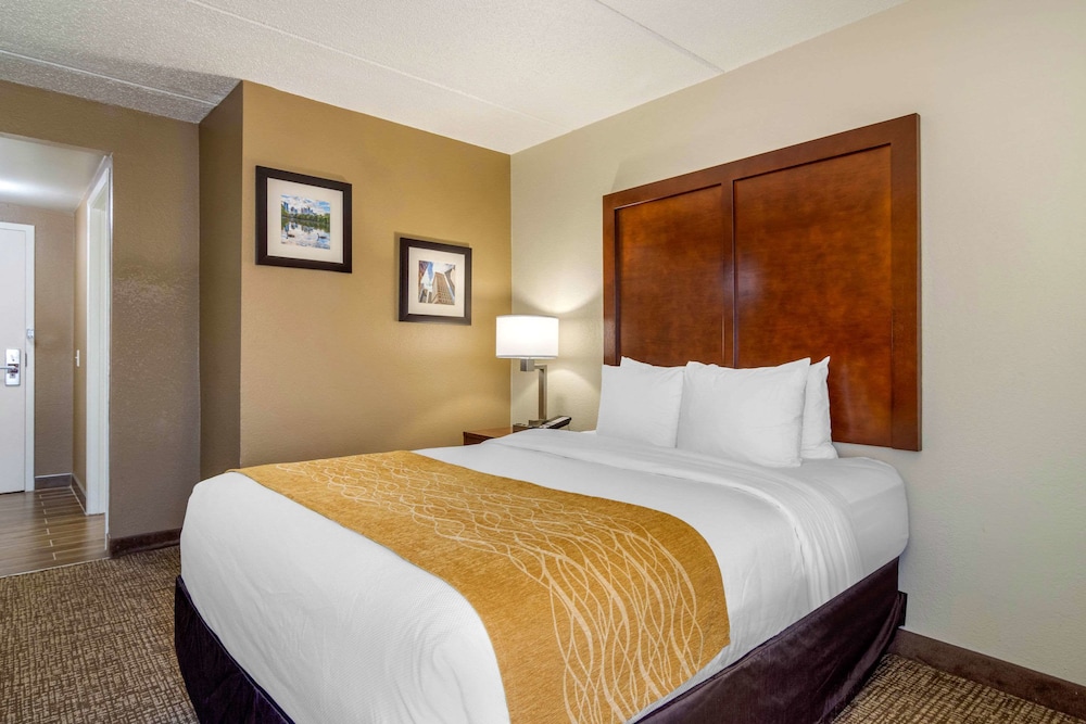 Spark by Hilton Atlanta Airport South College Park 9/36